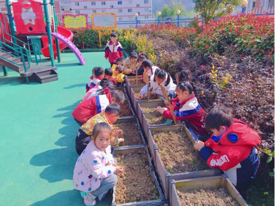 秦古镇中心幼儿园：“幼”来添绿