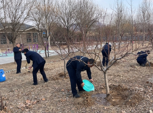 柳林乡：“植”此青绿亮底色 堵河源头“树”春光
