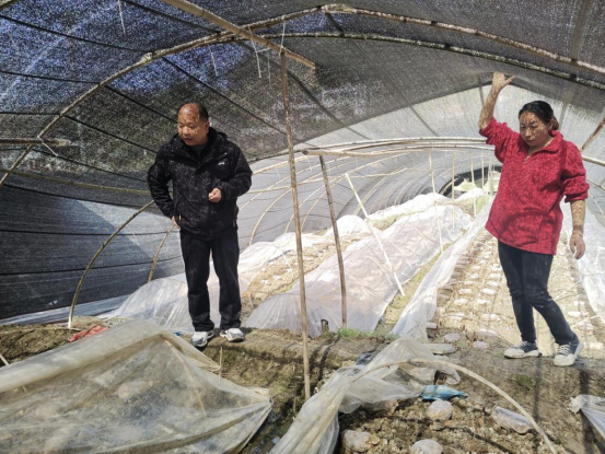 县蔬菜中心：保障技术支撑  服务产业发展