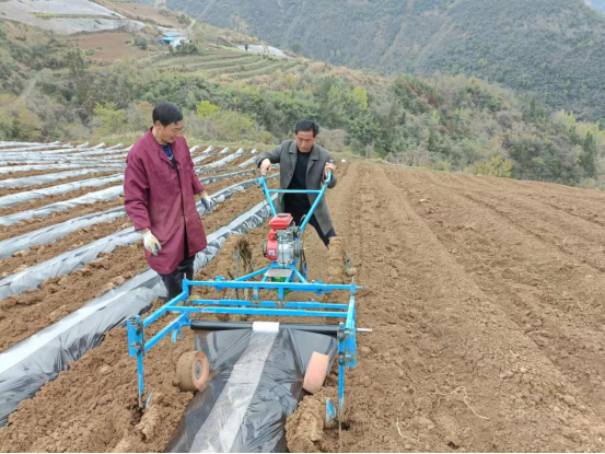 官渡镇：春雨润烟区  烟地起垄忙