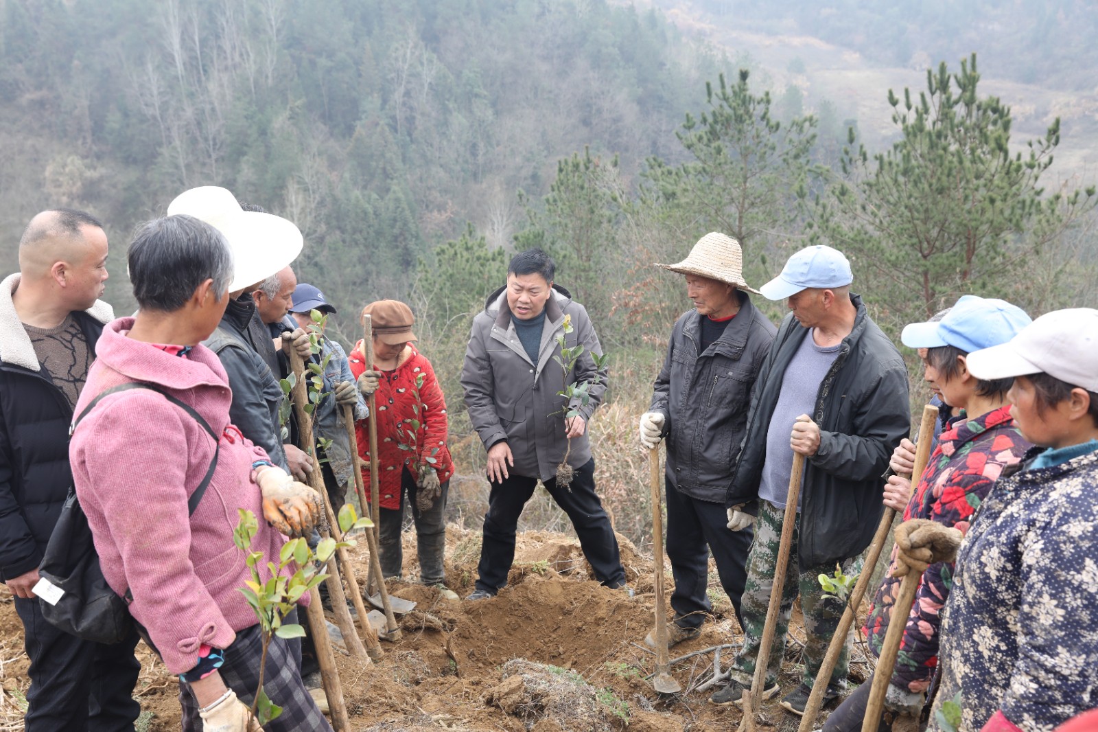 竹山县“万亩油茶小镇”初见雏形