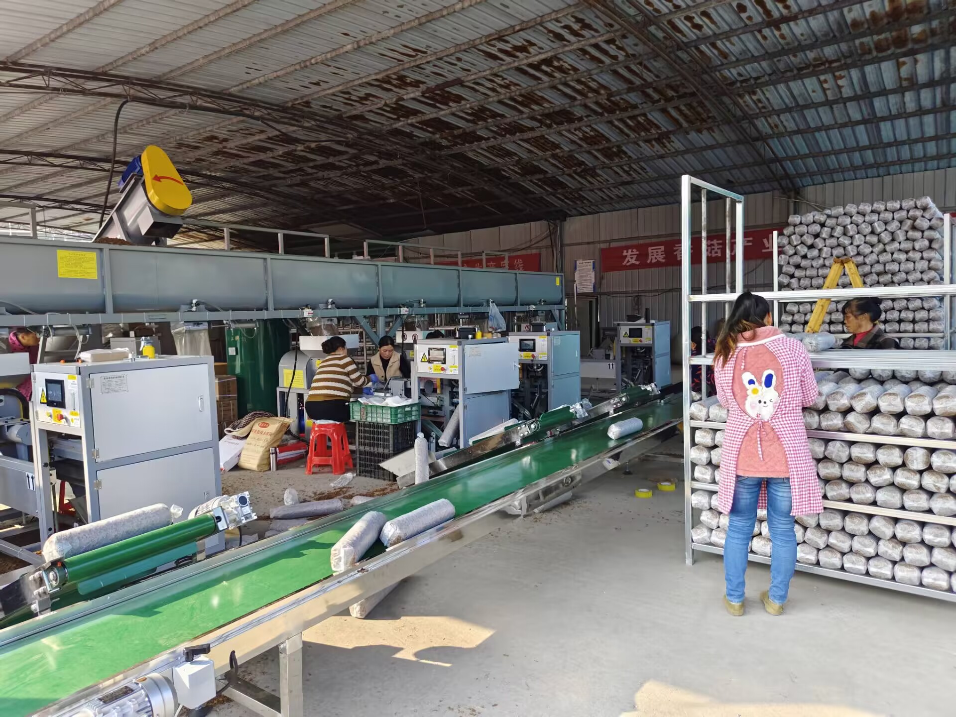 深河乡：朵朵春菇撑起“致富伞”