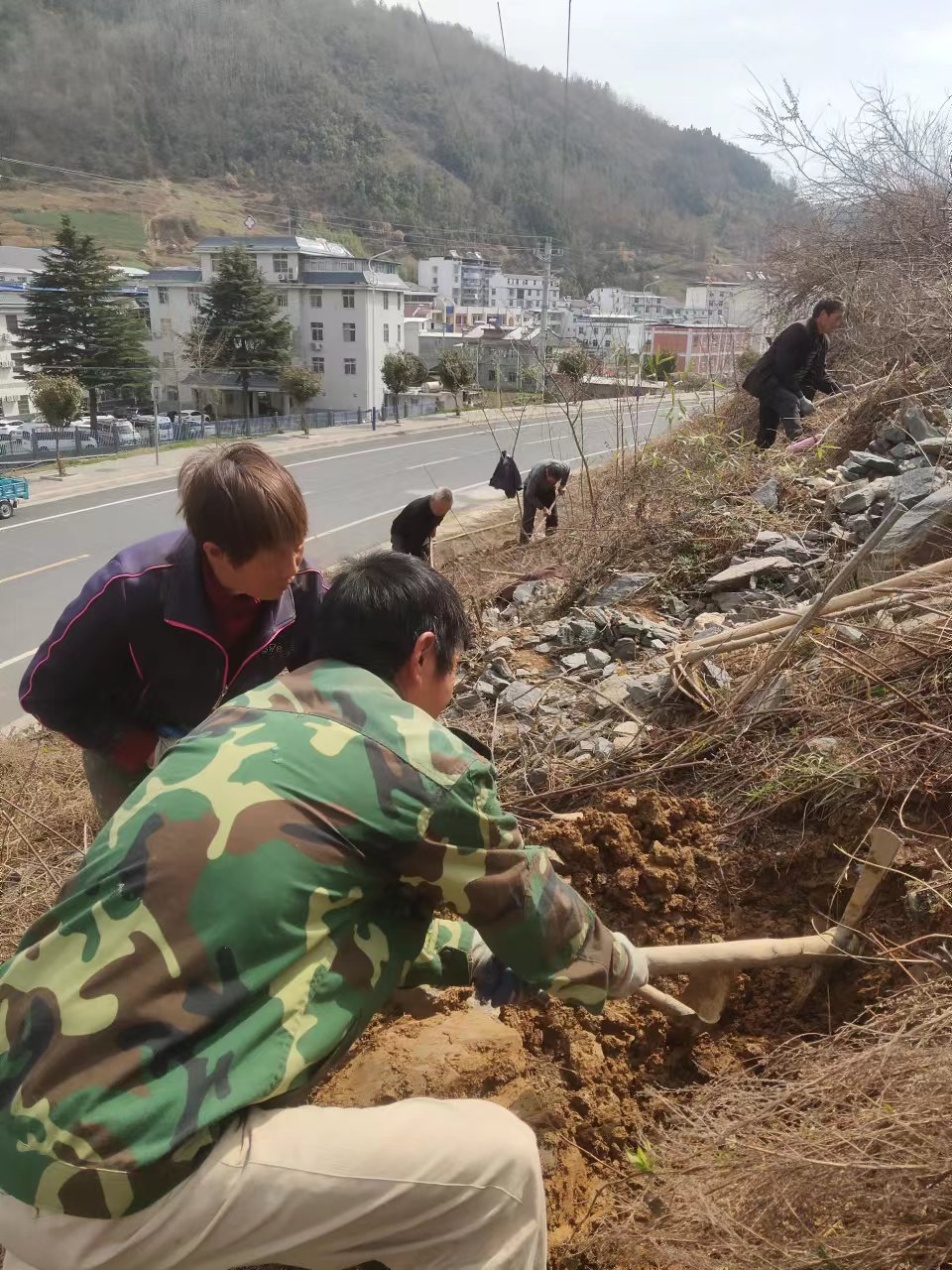 大庙乡：春季绿植养护忙