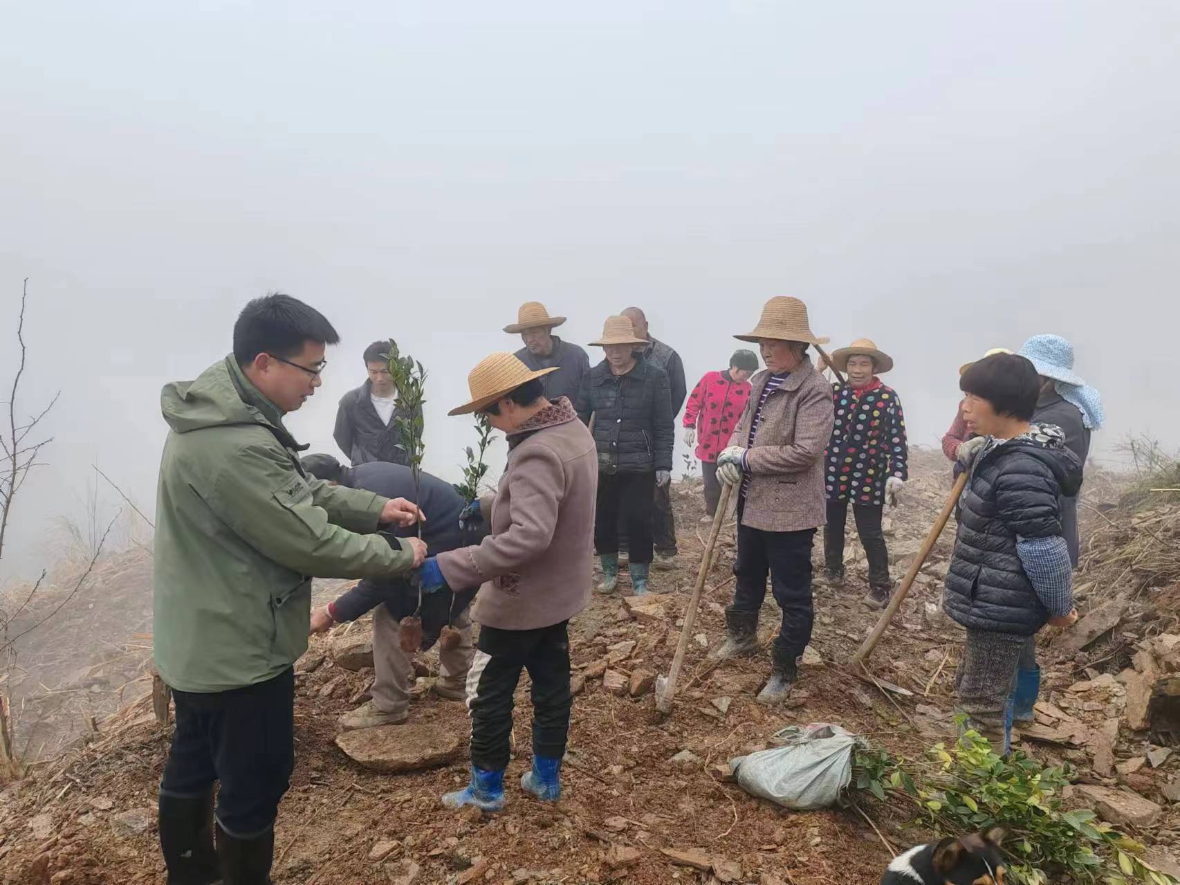 竹坪乡：春耕生产正当时  油茶培训助发展