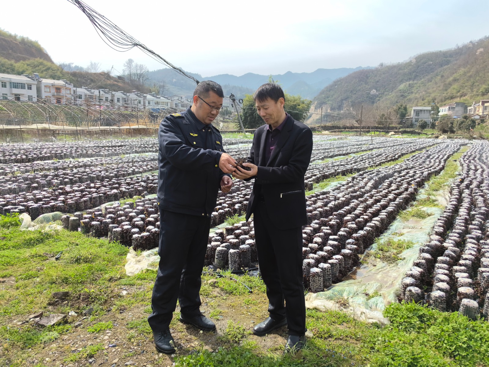 深河乡：知识产权宣传到田间地头　助力乡村振兴 