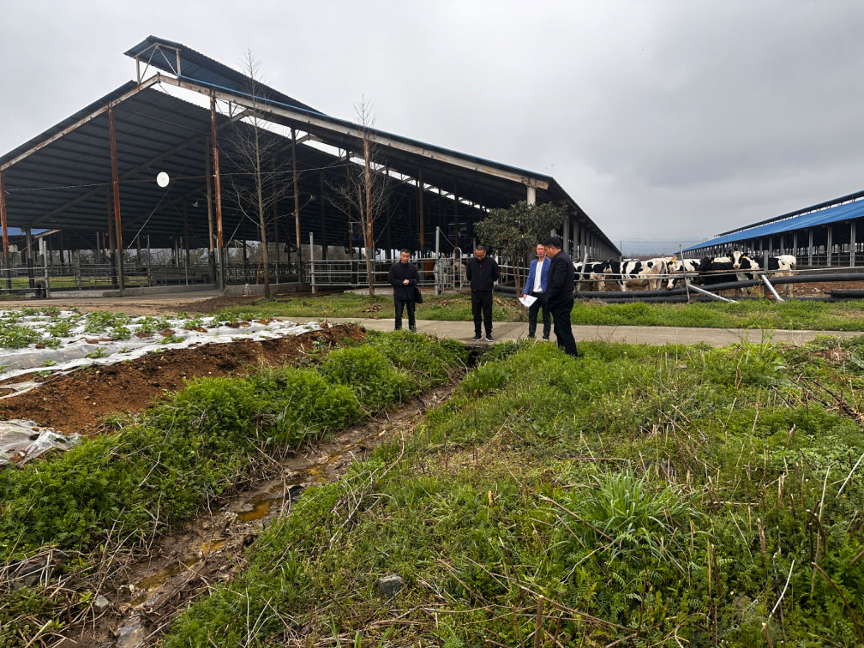 县畜牧兽医服务中心启动“户户走到”活动