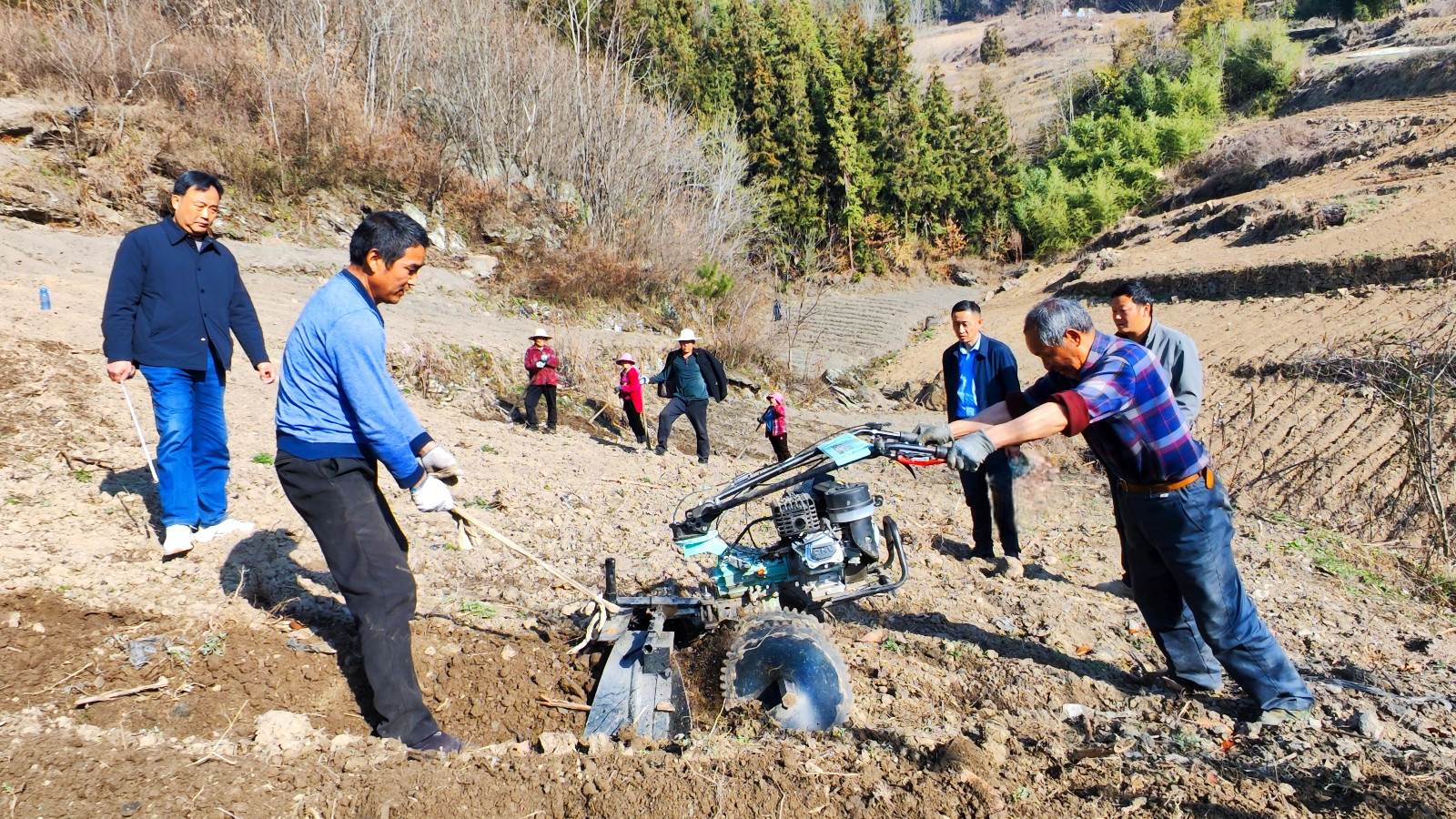 大庙乡：抢抓有利天气　推进烟地施肥起垄工作