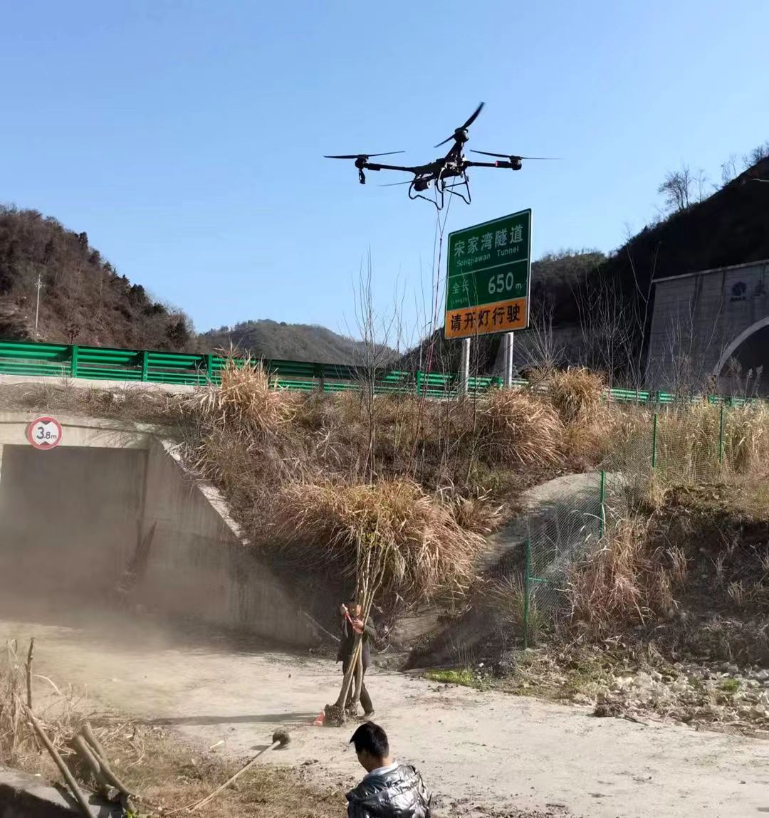 溢水镇：无人机精准“空降”  植树造林有“新招”