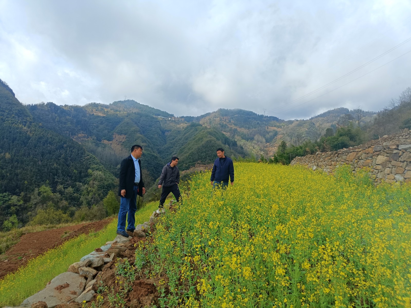 楼台乡：不负农时不负春 农技指导生产忙