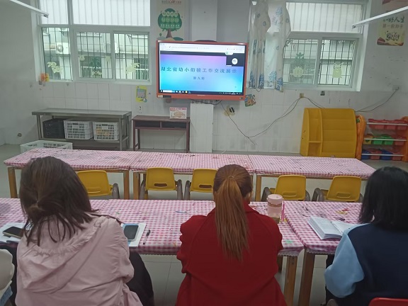 县实验幼儿园观看省级幼小衔接工作交流展示直播
