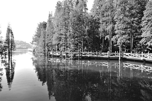 迷人的九真山秋景 (资料图片)