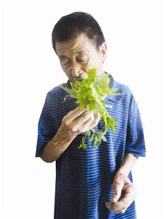 把毒草当零食