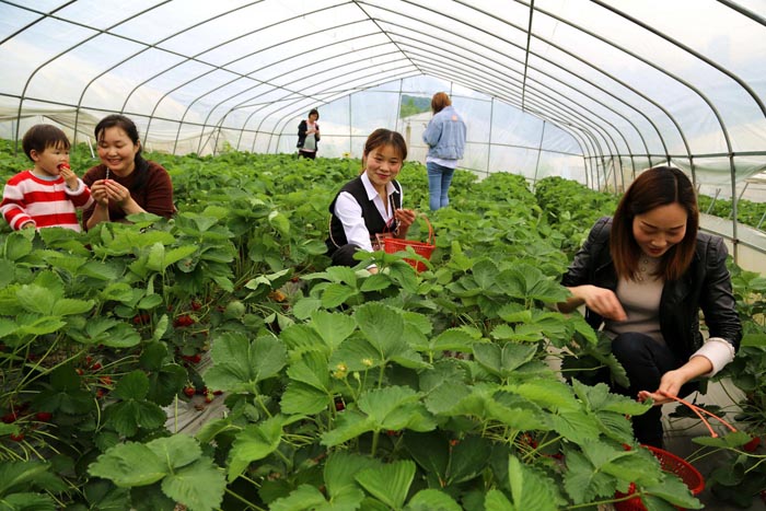 1556089278104274.jpg cc759cdfcee5e5530651dcd2673ab6aa.jpg