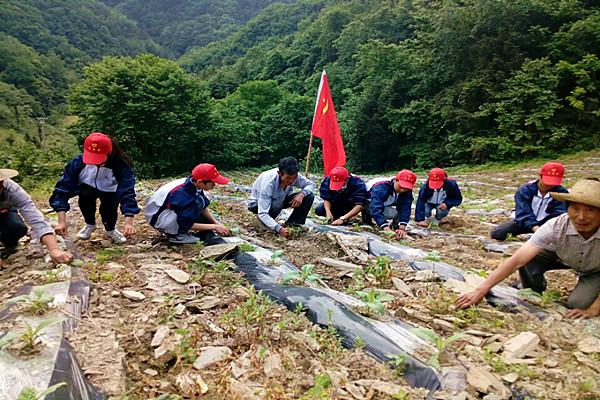 1526437981110669.jpg ba4c3d0959c211d01e826af91385239d.jpg