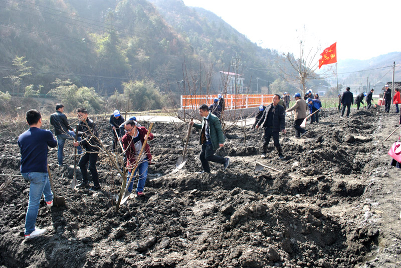 1520839399285042.jpg QQ图片20180312145435.jpg