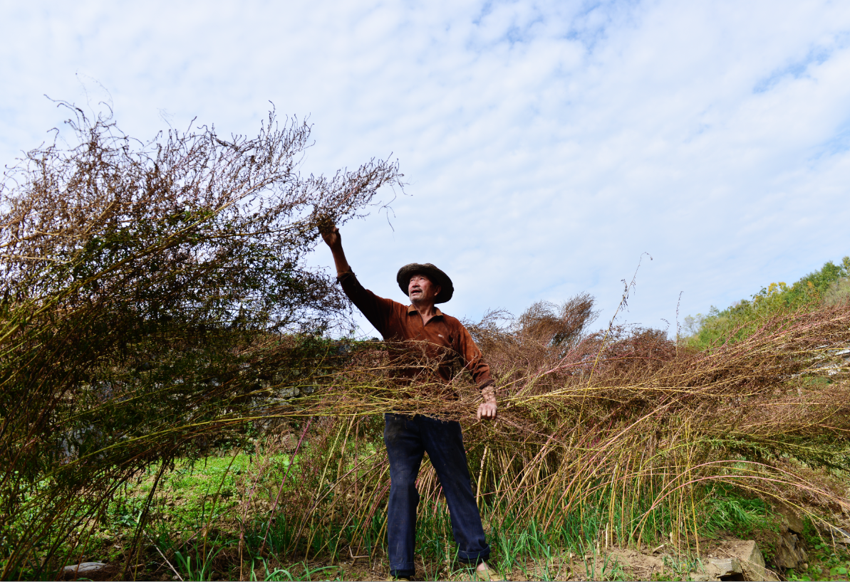 1540730237263010.png ZVH4RY5V%}{%B)9T%K{$T9D.png