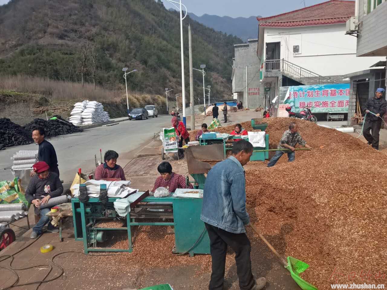 香菇产业助脱贫.jpg