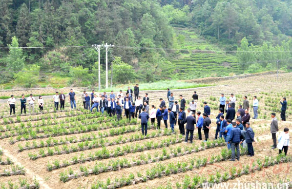 1557201215971700.jpg QQ图片20190507113719.jpg