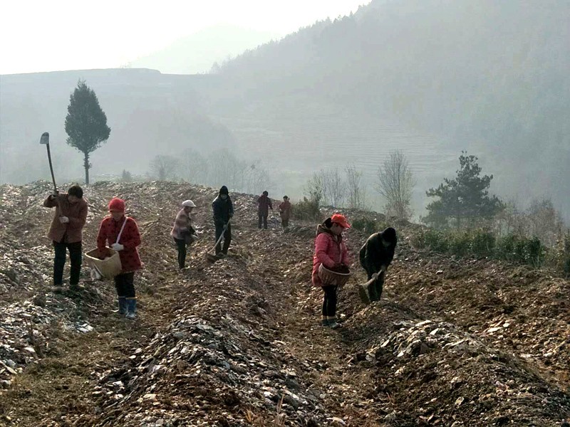 1544779166950184.jpg QQ图片20181214170023.jpg