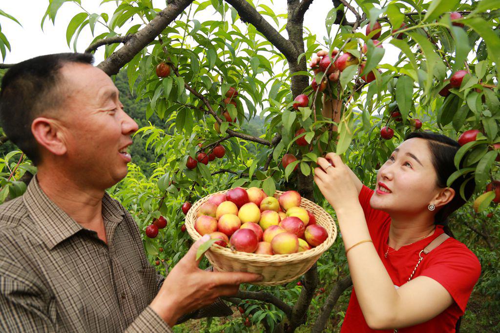 1527241557850221.jpg 86c2b3c58f67bd0ee386bcb96d24a11f.jpg