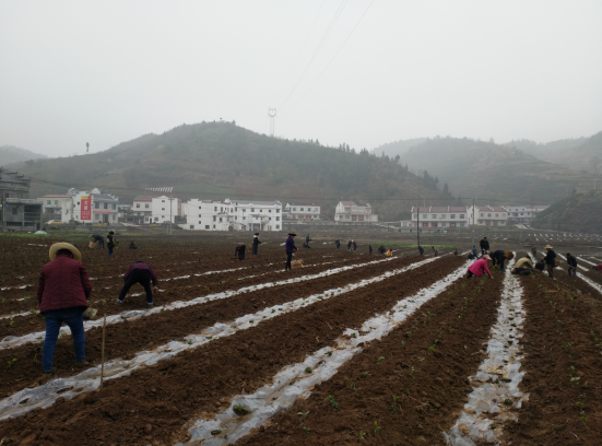 1554206903366888.png 1.png