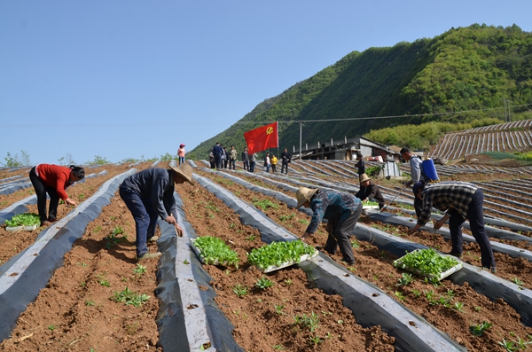 1555406438136057.jpg DSC_1991.JPG