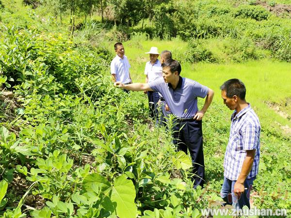 工作隊長郭福為碾盤村低老茶園把脈問診.jpg