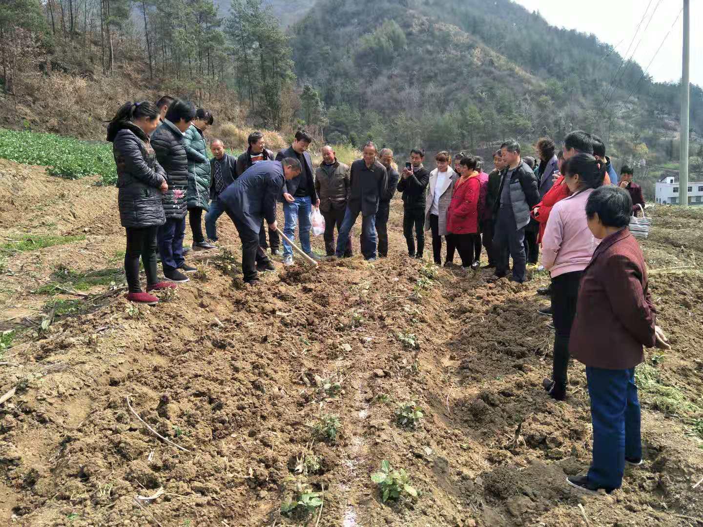 1554206598719061.jpg 90aaefbe8139d46f8291d43f6c773edd (1).jpg