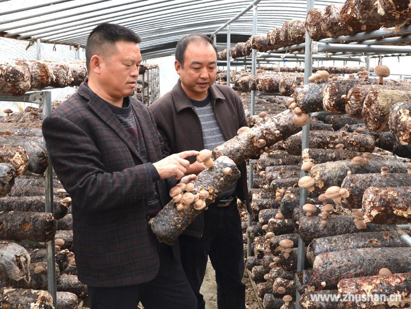 1509529217108990.jpg DSC_0011.JPG