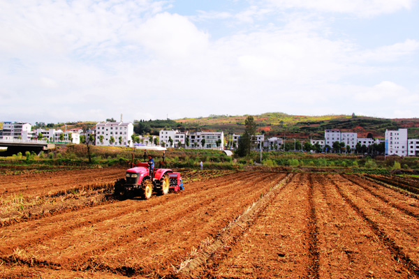 1537751976522405.jpg IMG_9877.JPG