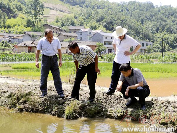 工作隊查看塘溪家庭農(nóng)場蝦苗生長情況.jpg