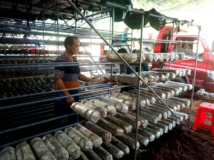 1558919221134900.jpg bf6df5a28f331e3fb0a86bda0662f666.jpg