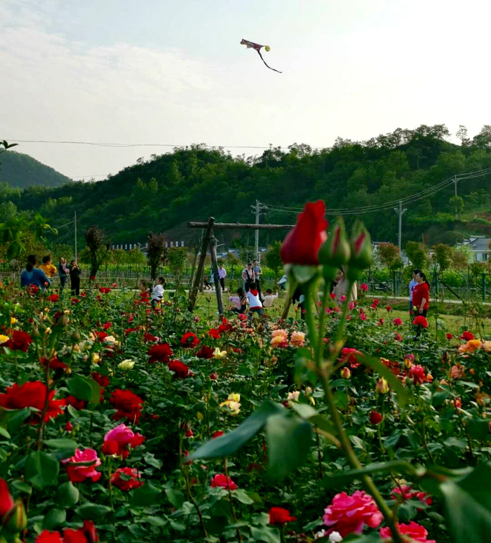 1557191580922472.jpg QQ图片20190507090242.jpg