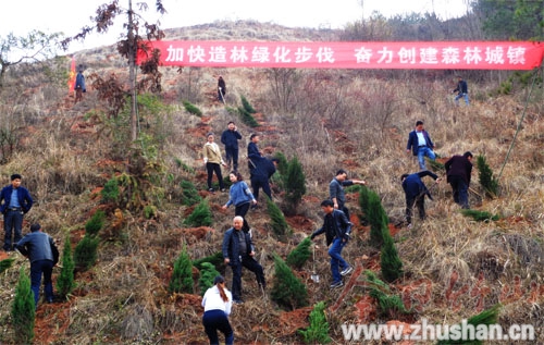 溢水镇开展植树护绿美乡村活动.jpg