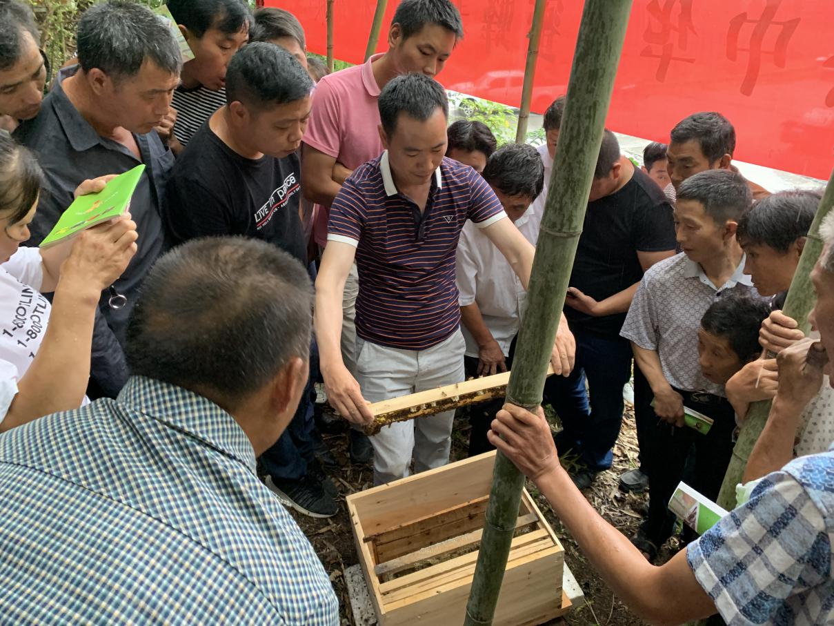 1562314465367147.jpg 47751e754a73ca4f86d3f761046c14b9.jpg