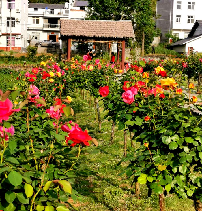 1557191531669402.jpg QQ图片20190507090354.jpg