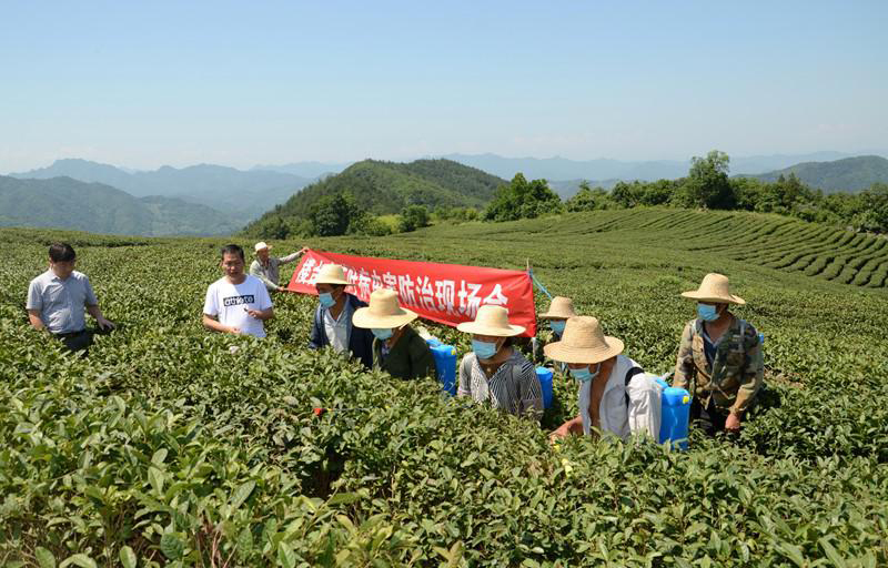 1562203297111151.jpg 6d125f14368c118716af1ff58c1d48c5.jpg