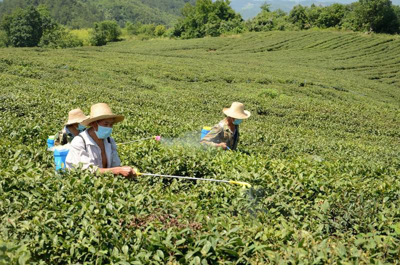 1562203277433631.jpg 3d8805e9143d37d59cb57d39aac2c745.jpg