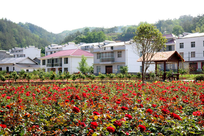 1557191550124107.jpg QQ图片20190507090223.jpg