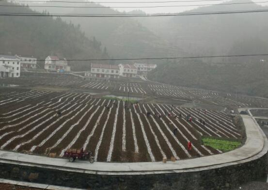 1554206912650726.png 2.png