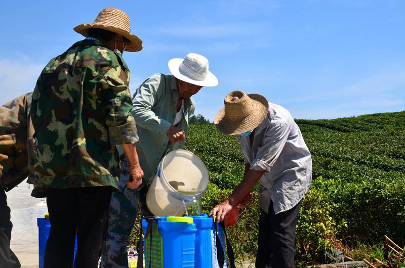 1562203313124275.jpg e3c7f0b854c94d19216fd1e77aa74ddc.jpg