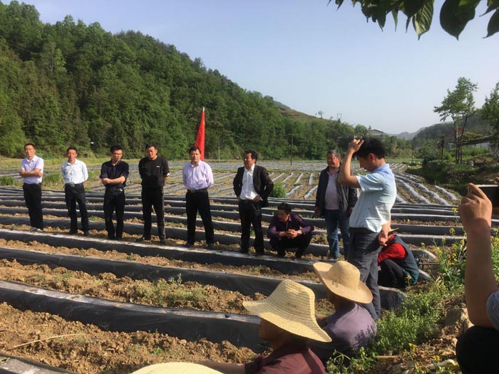 1556242443675986.jpg 3c692cc6f52e60beb84695a7678e6fbd.jpg